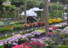 Jammer genoeg was het erg regenachtig voor twee dagen. Maar gelukkig weerhield het de bezoekers er niet van om de planten die buiten stonden te bekijken.